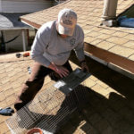 Northern CO Pest Control - Aurora CO Pest Control - Best Pest Control Loveland - Who is the Best Pest Control Company in Fort Collins