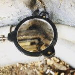 Common pests - Mouse Entry Point - Exterminator Fort Collins