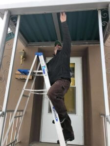 the best greeley exterminators