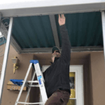 Importance of Regular Pest Inspections