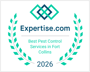 Top Pest Control Service in Fort Collins