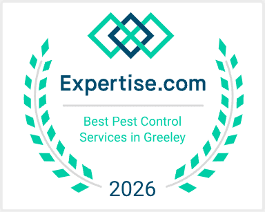 Top Pest Control Service in Greeley