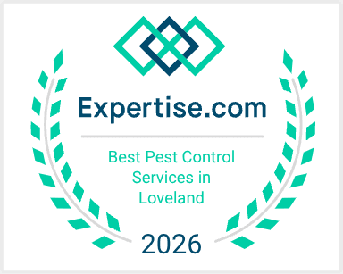 Top Pest Control Service in Loveland