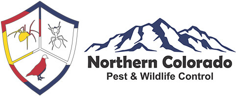 NOCO Pest logo